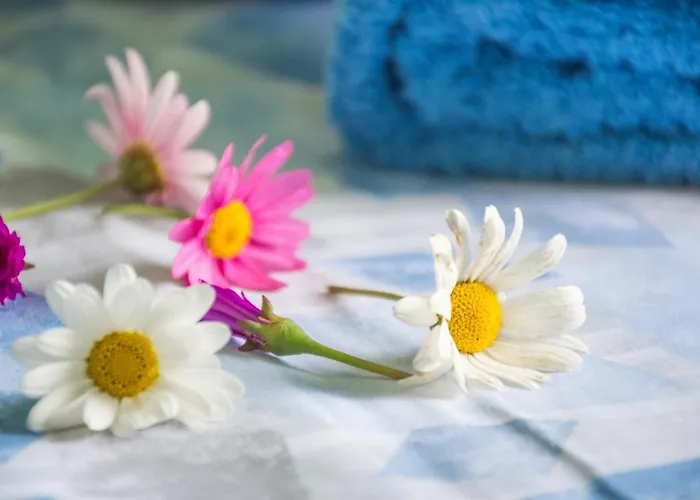 Celestina * Portoferraio